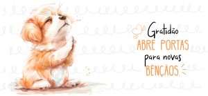 PETS 47