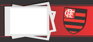 FLAMENGO 03