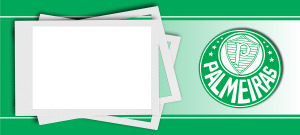 PALMEIRAS 05