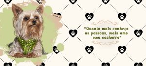 PETS 25