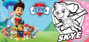 PATRULHA CANINA SKYE