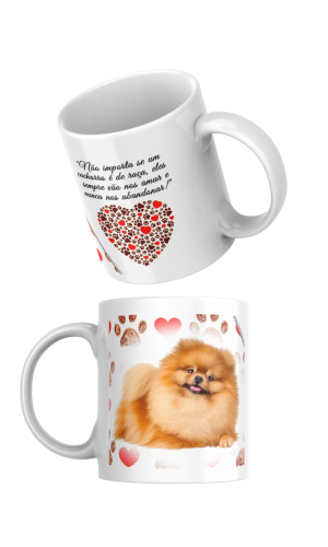 PETS 29
