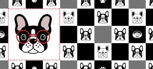 PETS 27