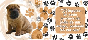 PETS 28