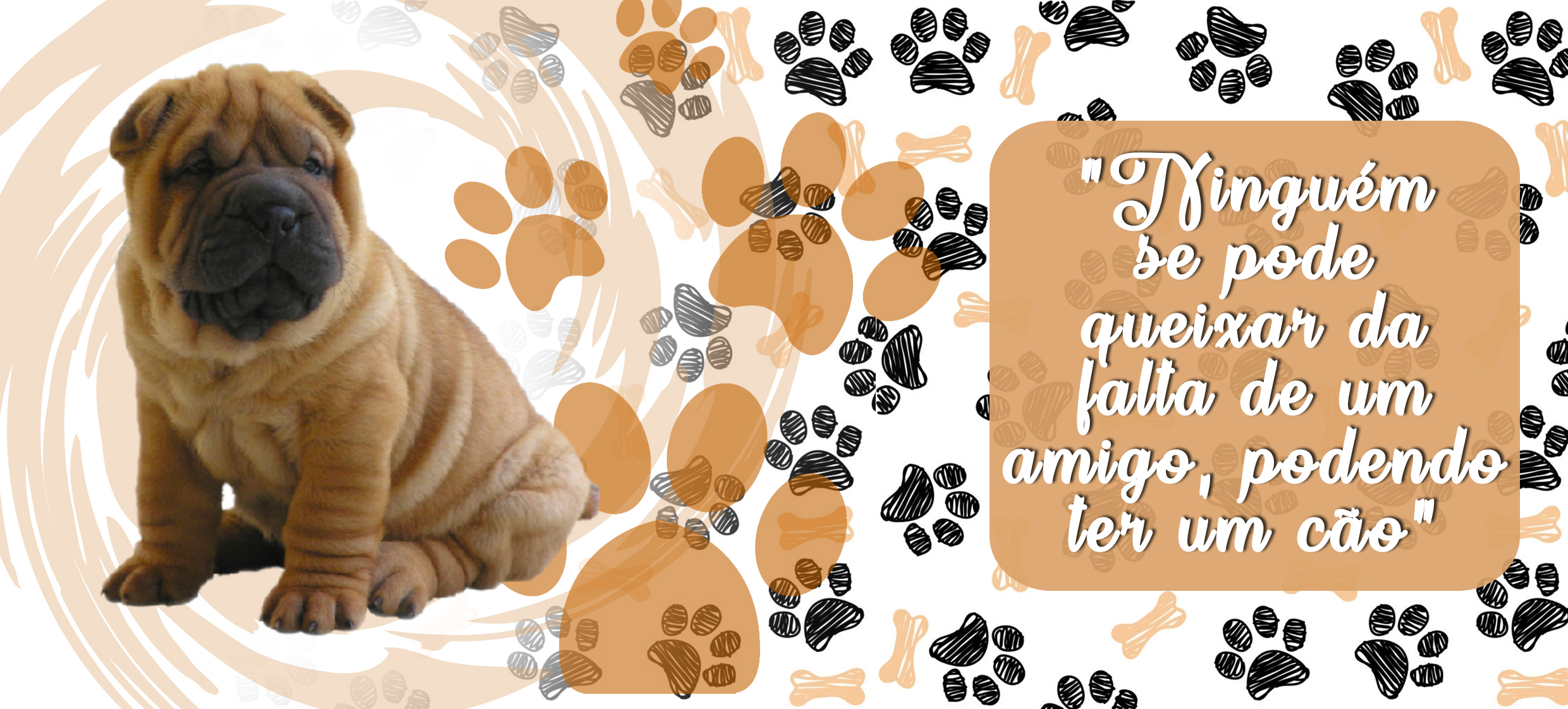 PETS 28 - Imagem 2