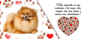 PETS 29