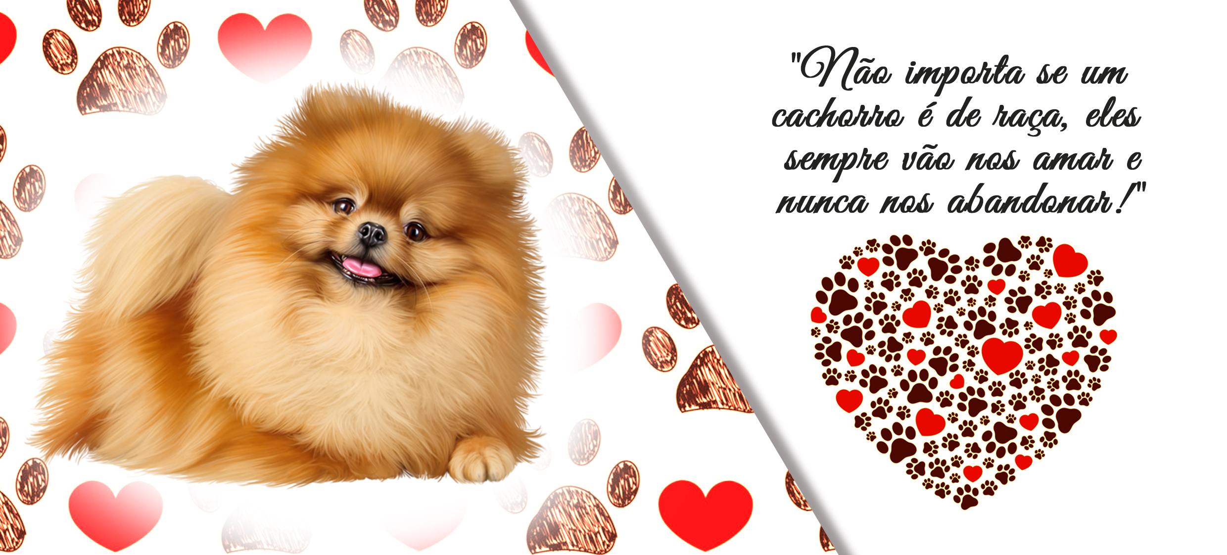 PETS 29 - Imagem 2