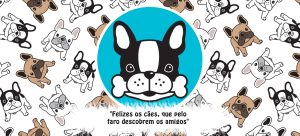 PETS 31