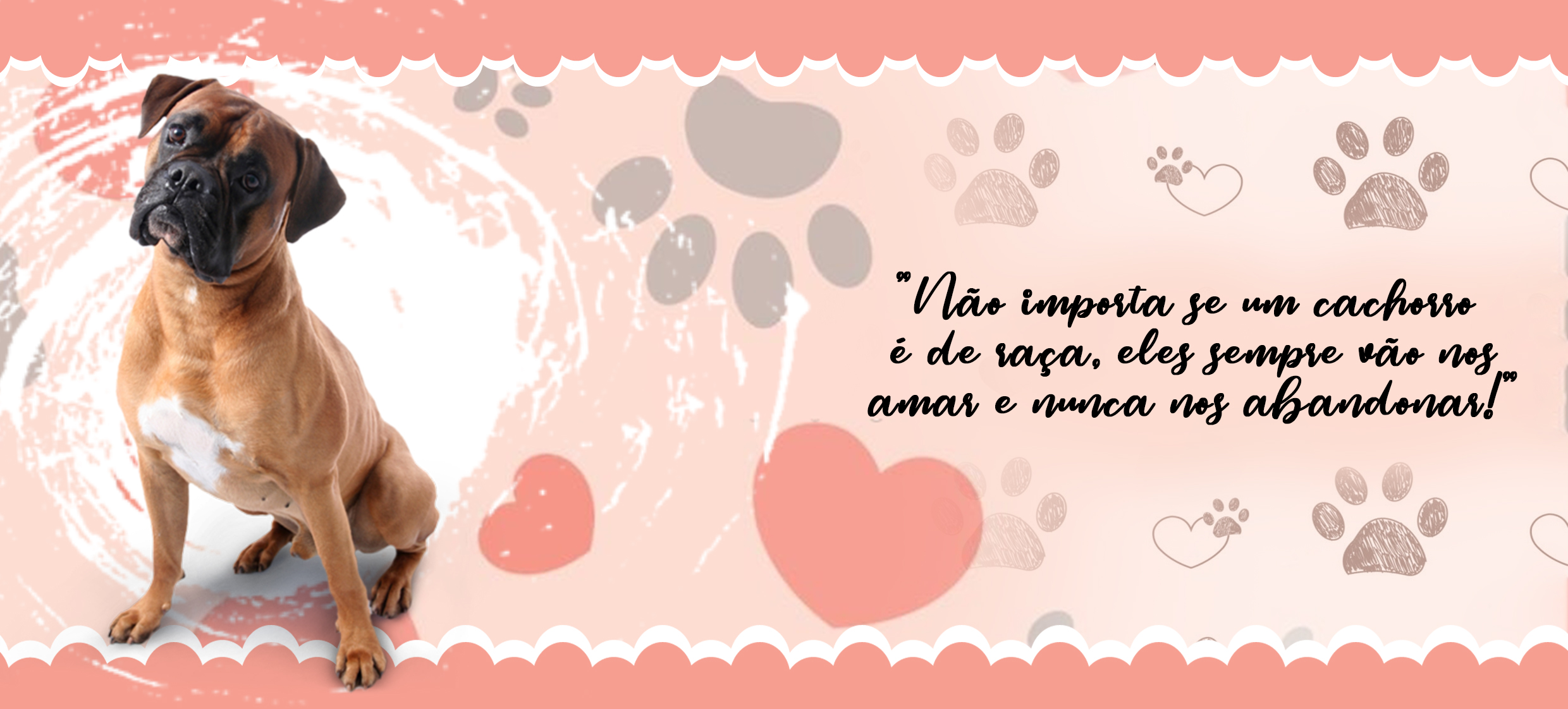 PETS 32 - Imagem 2