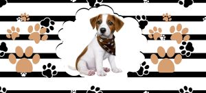PETS 34