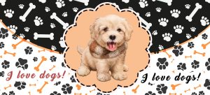 PETS 37