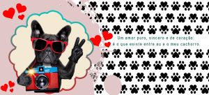 PETS 38