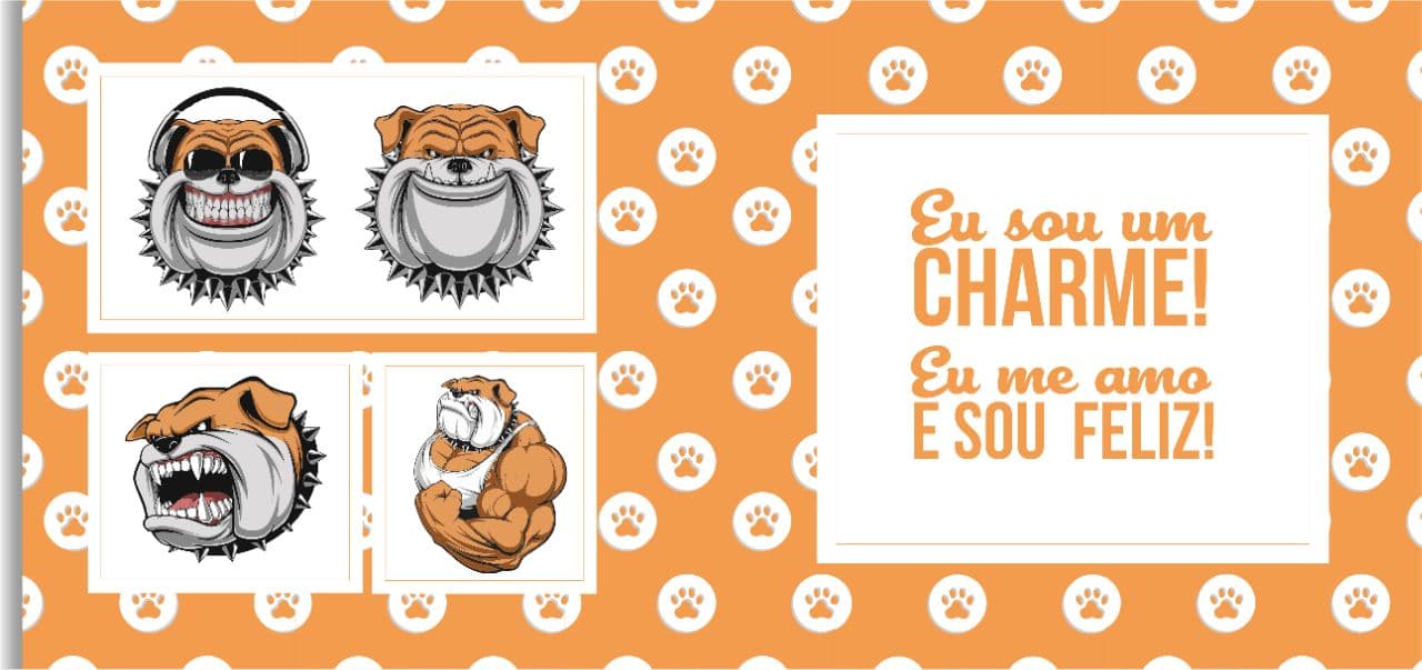 PETS 41 - Imagem 2