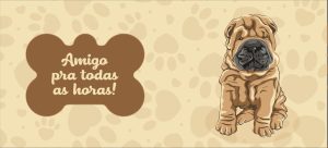 PETS 42