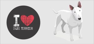 PETS 14